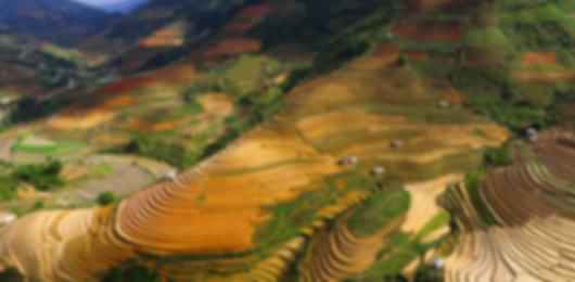 7 Day Enchanting Vietnam Holiday with Hanoi, Da Nang and Ho chi minh